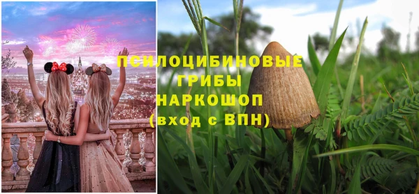 кокс Белокуриха