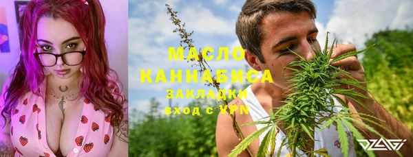 шишки Дегтярск