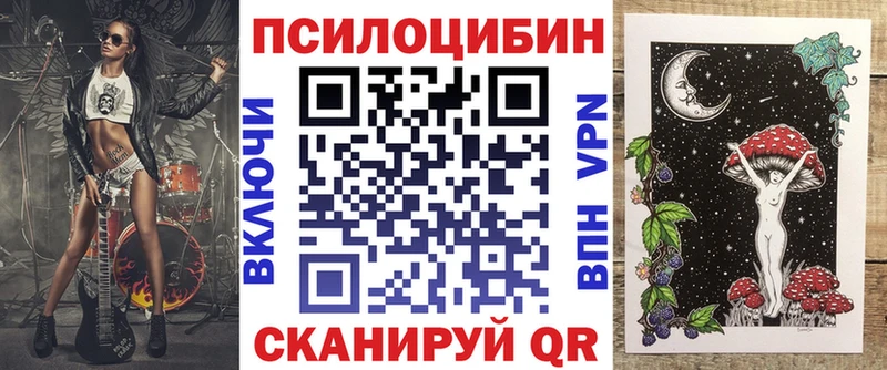Псилоцибиновые грибы ЛСД мега как войти Кунгур сколько стоит