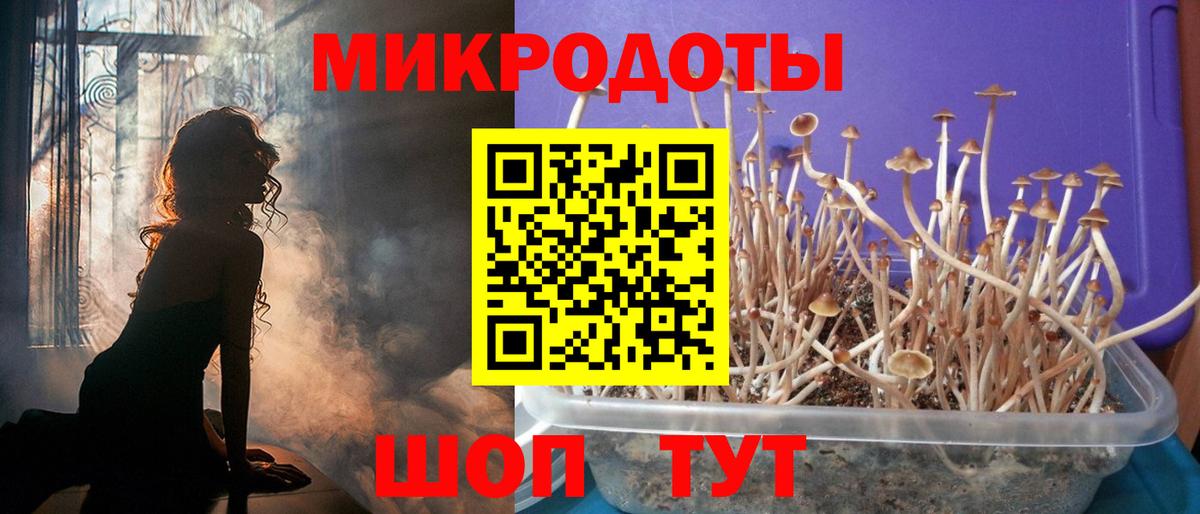 Кунгур  купить наркотик  Вход с VPN  Псилоцибиновые грибы ЛСД 