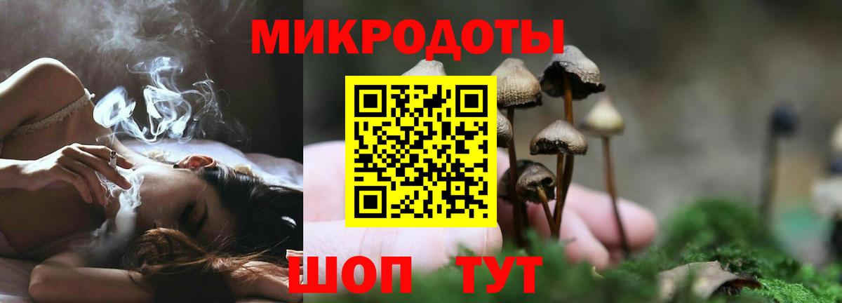 Галлюциногенные грибы Psilocybine cubensis Кунгур